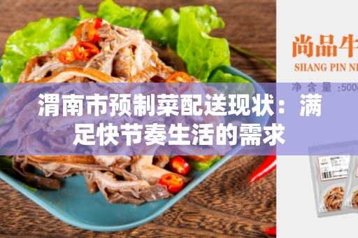 渭南市预制菜配送现状：满足快节奏生活的需求