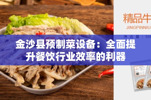 金沙县预制菜设备：全面提升餐饮行业效率的利器