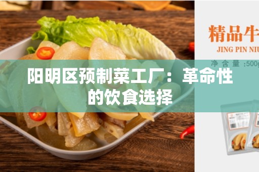 阳明区预制菜工厂：革命性的饮食选择