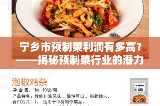 宁乡市预制菜利润有多高？——揭秘预制菜行业的潜力与利润
