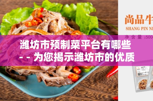 潍坊市预制菜平台有哪些 - - 为您揭示潍坊市的优质预制菜平台