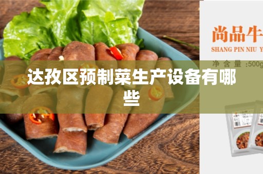 达孜区预制菜生产设备有哪些
