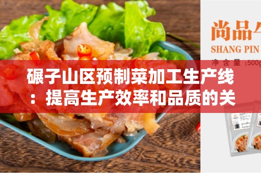碾子山区预制菜加工生产线：提高生产效率和品质的关键技术