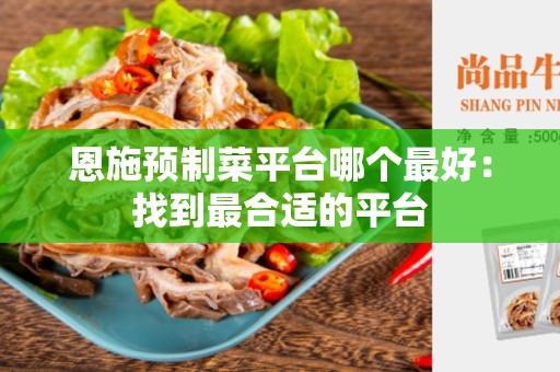 恩施预制菜平台哪个最好：找到最合适的平台