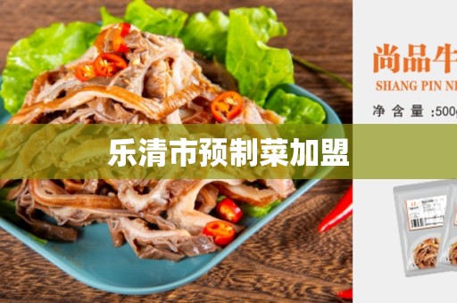 乐清市预制菜加盟