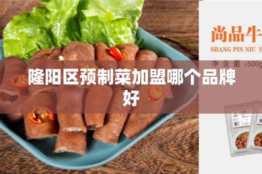 隆阳区预制菜加盟哪个品牌好