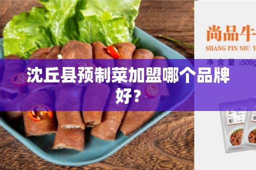 沈丘县预制菜加盟哪个品牌好？