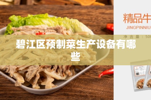 碧江区预制菜生产设备有哪些