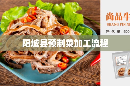 阳城县预制菜加工流程