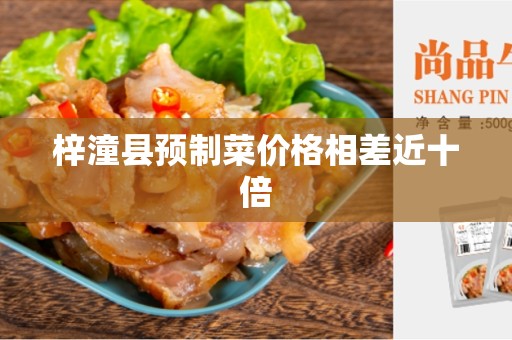 梓潼县预制菜价格相差近十倍