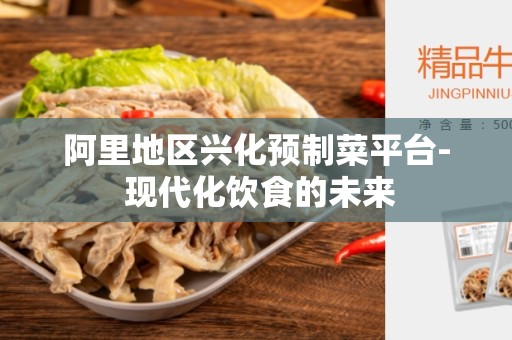 阿里地区兴化预制菜平台- 现代化饮食的未来