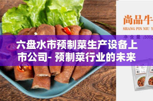 六盘水市预制菜生产设备上市公司- 预制菜行业的未来