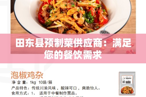 田东县预制菜供应商：满足您的餐饮需求