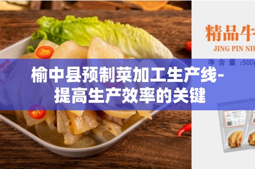 榆中县预制菜加工生产线- 提高生产效率的关键