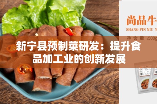 新宁县预制菜研发：提升食品加工业的创新发展