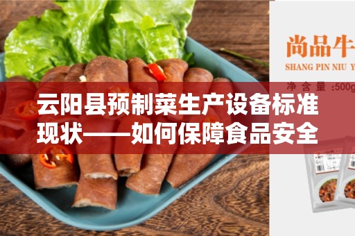 云阳县预制菜生产设备标准现状——如何保障食品安全？