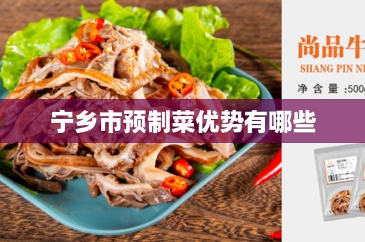宁乡市预制菜优势有哪些