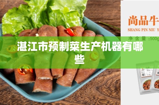 湛江市预制菜生产机器有哪些