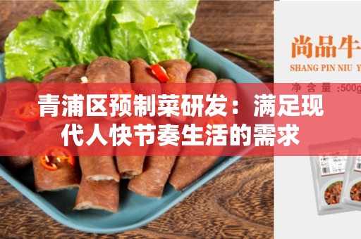 青浦区预制菜研发：满足现代人快节奏生活的需求