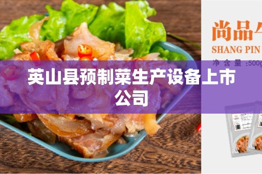 英山县预制菜生产设备上市公司