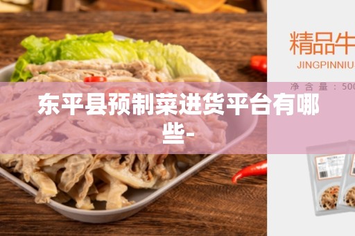 东平县预制菜进货平台有哪些-