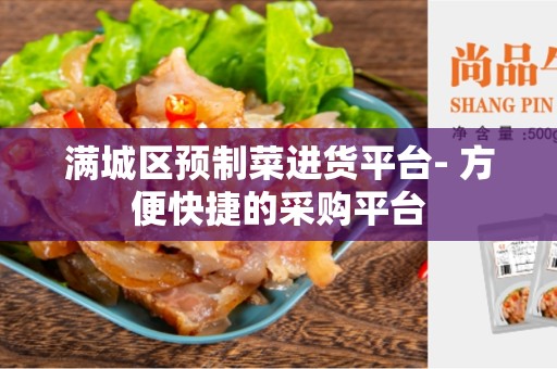 满城区预制菜进货平台- 方便快捷的采购平台