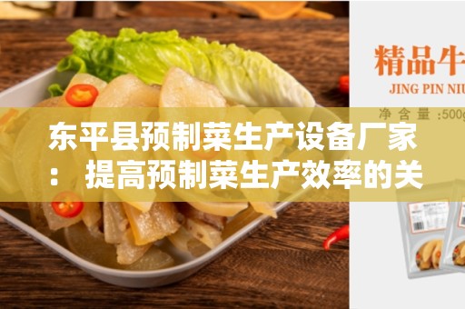 东平县预制菜生产设备厂家： 提高预制菜生产效率的关键