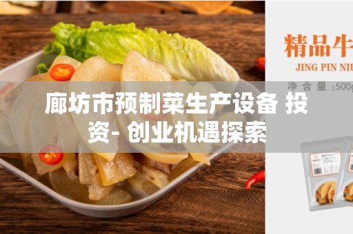 廊坊市预制菜生产设备 投资- 创业机遇探索