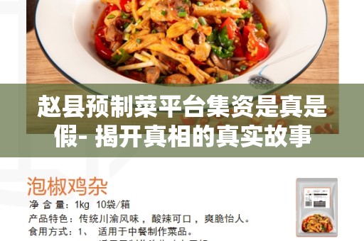 赵县预制菜平台集资是真是假- 揭开真相的真实故事
