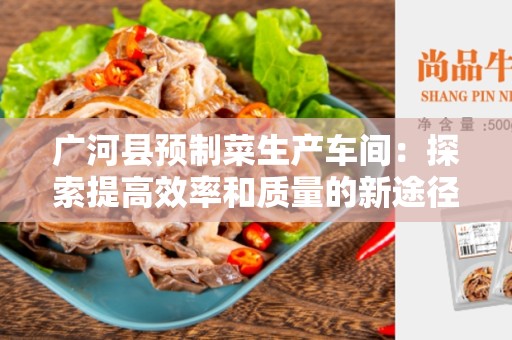 广河县预制菜生产车间：探索提高效率和质量的新途径