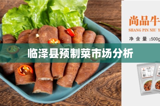 临泽县预制菜市场分析