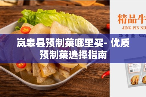 岚皋县预制菜哪里买- 优质预制菜选择指南