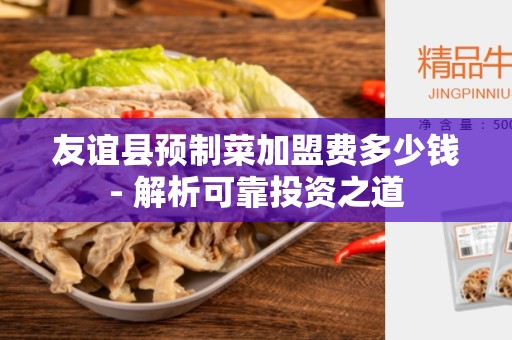 友谊县预制菜加盟费多少钱- 解析可靠投资之道