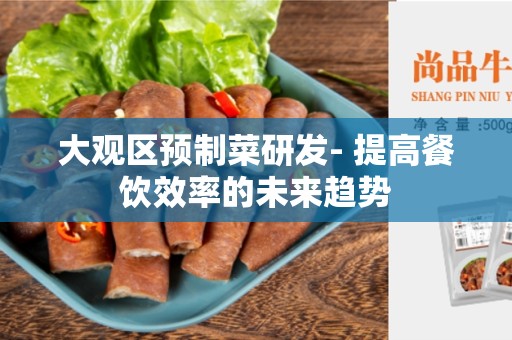 大观区预制菜研发- 提高餐饮效率的未来趋势
