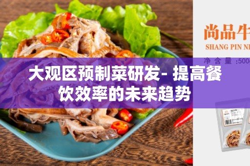 大观区预制菜研发- 提高餐饮效率的未来趋势
