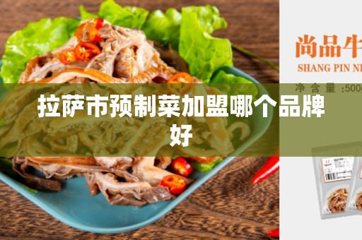 拉萨市预制菜加盟哪个品牌好