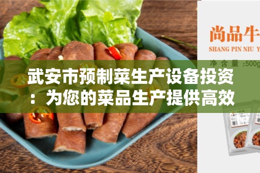 武安市预制菜生产设备投资：为您的菜品生产提供高效的解决方案