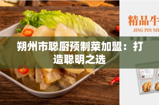 朔州市聪厨预制菜加盟：打造聪明之选