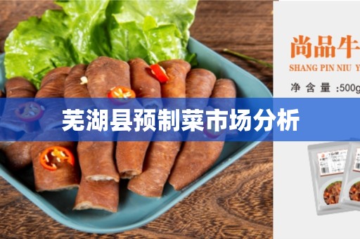 芜湖县预制菜市场分析