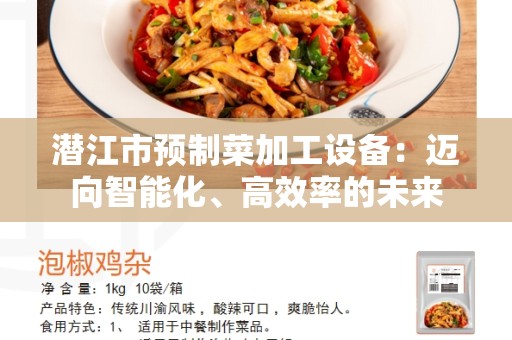 潜江市预制菜加工设备：迈向智能化、高效率的未来