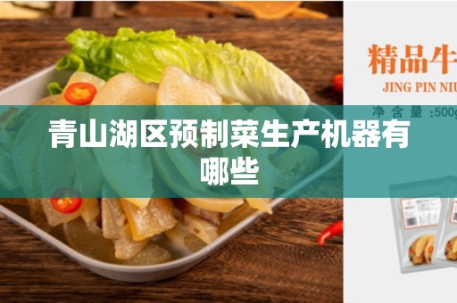 青山湖区预制菜生产机器有哪些
