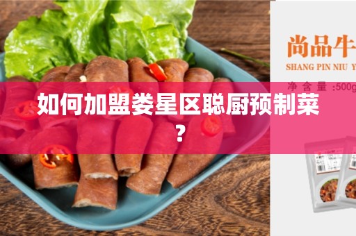 如何加盟娄星区聪厨预制菜？