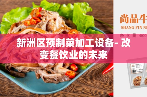 新洲区预制菜加工设备- 改变餐饮业的未来