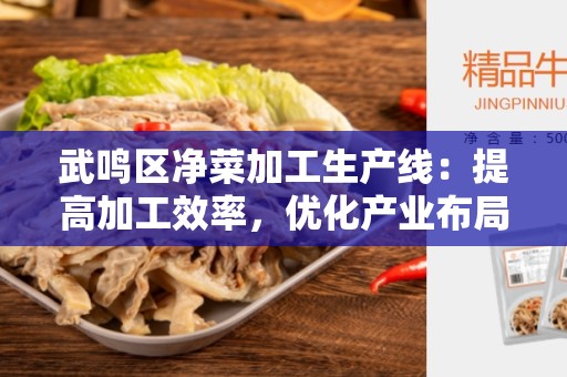 武鸣区净菜加工生产线：提高加工效率，优化产业布局
