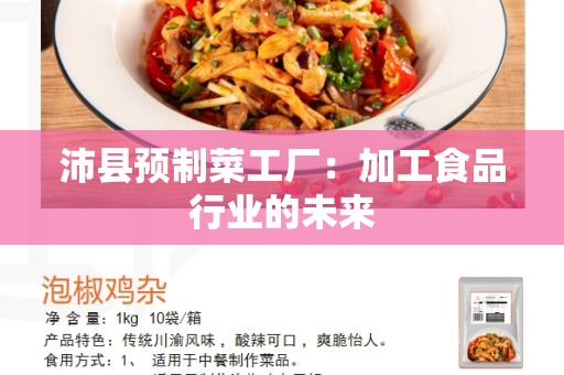 沛县预制菜工厂：加工食品行业的未来