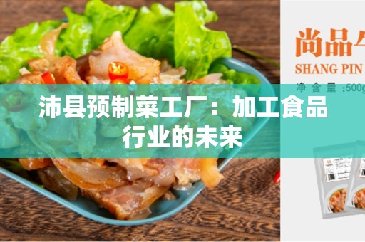 沛县预制菜工厂：加工食品行业的未来