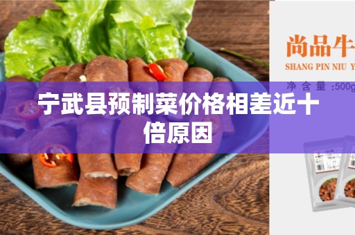 宁武县预制菜价格相差近十倍原因