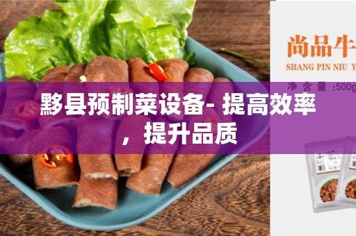 黟县预制菜设备- 提高效率，提升品质