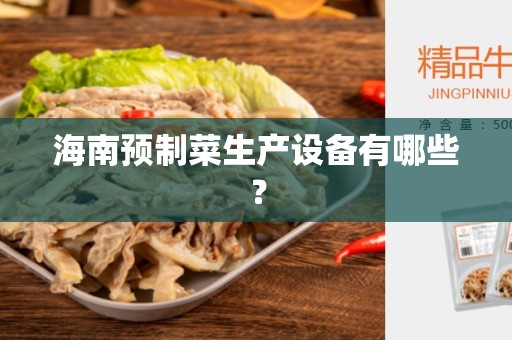 海南预制菜生产设备有哪些？