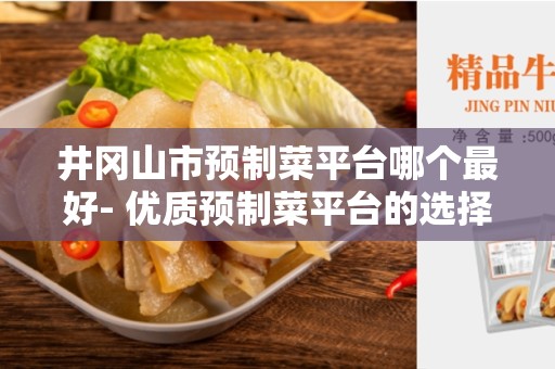 井冈山市预制菜平台哪个最好- 优质预制菜平台的选择指南